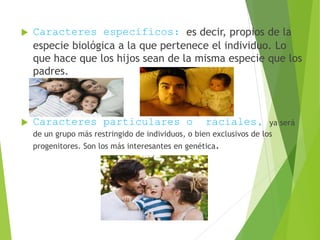  Caracteres específicos: es decir, propios de la
especie biológica a la que pertenece el individuo. Lo
que hace que los hijos sean de la misma especie que los
padres.
 Caracteres particulares o raciales, ya será
de un grupo más restringido de individuos, o bien exclusivos de los
progenitores. Son los más interesantes en genética.
 