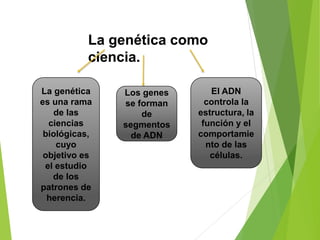 La genética como
ciencia.
La genética
es una rama
de las
ciencias
biológicas,
cuyo
objetivo es
el estudio
de los
patrones de
herencia.
Los genes
se forman
de
segmentos
de ADN
El ADN
controla la
estructura, la
función y el
comportamie
nto de las
células.
 