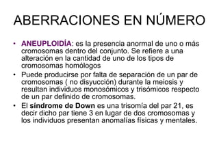 ANEUPLOIDÍA : es la presencia anormal de uno o más cromosomas dentro del conjunto. S e refiere a una alteración en la cantidad de uno de los tipos de cromosomas homólogos  Puede producirse por falta de separación de un par de cromosomas ( no disyucción) durante la meiosis y resultan individuos monosómicos y trisómicos respecto de un par definido de cromosomas. El  síndrome de Down  es una trisomía del par 21, es decir dicho par tiene 3 en lugar de dos cromosomas y los individuos presentan anomalías físicas y mentales. ABERRACIONES EN NÚMERO 
