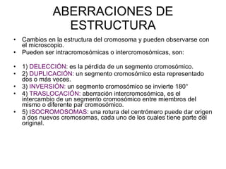 ABERRACIONES DE ESTRUCTURA Cambios en la estructura del cromosoma y pueden observarse con el microscopio. Pueden ser intracromosómicas o intercromosómicas, son: 1)  DELECCIÓN : es la pérdida de un segmento cromosómico. 2)  DUPLICACIÓN : un segmento cromosómico esta representado dos o más veces. 3)  INVERSIÓN:  un segmento cromosómico se invierte 180° 4)  TRASLOCACIÓN:  aberración intercromosómica, es el intercambio de un segmento cromosómico entre miembros del mismo o diferente par cromosómico. 5) I SOCROMOSOMAS : una rotura del centrómero puede dar origen a dos nuevos cromosomas, cada uno de los cuales tiene parte del original. 