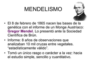 MENDELISMO El 8 de febrero de 1865 nacen las bases de la genética con el informe de un Monge Austríaco:  Gregor Mendel . Lo presentó ante la Sociedad Científica de Brün. Informe: 8 años de observaciones que analizaban 10 mil cruzas entre vegetales. “estadísticamente válido”.  Tomó un único rasgo o carácter a la vez: hacia el estudio simple, sencillo y cuantitativo. 