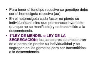 Para tener el fenotipo recesivo su genotipo debe ser el homocigota recesivo (aa) En el heterocigota cada factor no pierde su individualidad, sino que permanece invariable (aunque no se manifieste) y es transmitido a la descendencia. 1°LEY DE MENDEL o LEY DE LA SEGREGACIÓN:  los caracteres se encuentran de a pares sin perder su individualidad y se segregan en las gametas para ser transmitidos a la descendencia. 