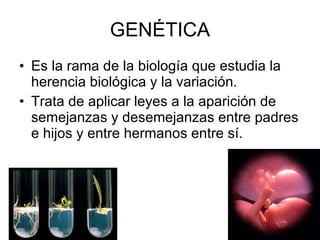 GENÉTICA Es la rama de la biología que estudia la herencia biológica y la variación. Trata de aplicar leyes a la aparición de semejanzas y desemejanzas entre padres e hijos y entre hermanos entre sí. 