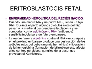 ERITROBLASTOCIS FETAL ENFERMEDAD HEMOLÍTICA DEL RECIÉN NACIDO : Cuando una madre Rh- y un padre Rh+, tienen un hijo Rh+. Durante el parto algunos glóbulos rojos del hijo pasan a la madre al desprenderse la placenta y se comportan como  aglutinógeno Rh+  (antígenos) sensibilizándola para un futuro embarazo. La madre genera  aglutinina  contra el Rh+ (anticuerpo) y en el próximo embarazo produce una destrucción de los glóbulos rojos del bebe (anemia hemolítica) y liberación de la hemoglobina (formación de bilirrubina) esto afecta a los centros nerviosos: ganglios de la base, que provocan el Kernicterus. 
