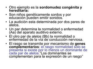 Otro ejemplo es la  sordomudez congénita y hereditaria: Son niños genéticamente sordos y por educación pueden emitir sonidos. La audición esta determinada por dos pares de alelos. Un par determina la normalidad o enfermedad (Aa) del aparato auditivo externo. El otro par de alelos (Bb) la normalidad o enfermedad de la vía de conducción nerviosa. El rasgo se transmite por mecanismo de  genes complementarios :  el rasgo normalidad solo se presenta si existe por lo menos un dominante de cada par de alelos .”Los dominantes se complementan para la expresión de un rasgo” 