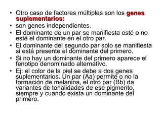 Otro caso de factores múltiples son los  genes suplementarios: son genes independientes. El dominante de un par se manifiesta esté o no esté el dominante en el otro par. El dominante del segundo par solo se manifiesta si está presente el dominante del primero. Si no hay un dominante del primero aparece el fenotipo denominado alternativo. Ej: el color de la piel se debe a dos genes suplementarios. Un par (Aa) permite o no la formación de melanina, el otro par (Bb) da variantes de tonalidades de ese pigmento, siempre y cuando exista un dominante del primero. 