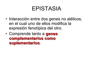 EPISTASIA Interacción entre dos genes no alélicos, en el cual uno de ellos modifica la expresión fenotípica del otro. Comprende tanto a  genes complementarios como suplementarios . 