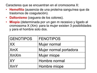 Caracteres que se encuentran en el cromosoma X: Hemofilia  (ausencia de una proteína sanguínea que da trastornos de coagulación). Daltonismo  (ceguera de los colores). Miopía  (determinada por un gen m recesivo y ligado al cromosoma X (Xm): para la mujer existen 3 posibilidades y para el hombre solo dos. FENOTIPOS GENOTIPOS Mujer normal XX Hombre miope XmY Hombre normal XY Mujer miope XmXm Mujer normal portadora XmX 