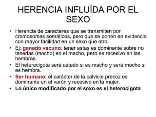 HERENCIA INFLUÍDA POR EL SEXO Herencia de caracteres que se transmiten por cromosomas somáticos, pero que se ponen en evidencia con mayor facilidad en un sexo que otro. Ej:  ganado vacuno : tener astas es dominante sobre no tenerlas (mocho) en el macho, pero es recesivo en las hembras. El heterocigota será astado si es macho y será mocho si es hembra. Ser humano : el carácter de la calvicie precoz es dominante en el varón y recesivo en la mujer. Lo único modificado por el sexo es el heterocigota 