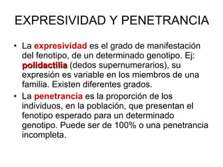 EXPRESIVIDAD Y PENETRANCIA La  expresividad  es el grado de manifestación del fenotipo, de un determinado genotipo. Ej:  polidactilia  (dedos supernumerarios), su expresión es variable en los miembros de una familia. Existen diferentes grados. La  penetrancia  es la proporción de los individuos, en la población, que presentan el fenotipo esperado para un determinado genotipo. Puede ser de 100% o una penetrancia incompleta. 