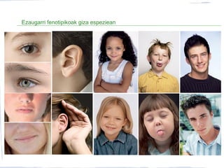 Ezaugarri fenotipikoak giza espeziean
 