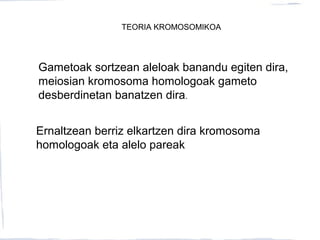 TEORIA KROMOSOMIKOA
Gametoak sortzean aleloak banandu egiten dira,
meiosian kromosoma homologoak gameto
desberdinetan banatzen dira.
Ernaltzean berriz elkartzen dira kromosoma
homologoak eta alelo pareak
 