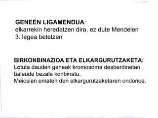 GENEEN LIGAMENDUA:
elkarrekin heredatzen dira, ez dute Mendelen
3. legea betetzen
BIRKONBINAZIOA ETA ELKARGURUTZAKETA:
Lotuta dauden geneak kromosoma desberdinetan
baleude bezala konbinatu.
Meiosian ematen den elkargurutzaketaren ondorioa.
 
