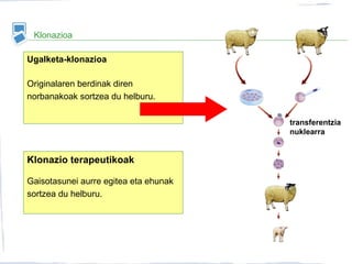Klonazioa
Ugalketa-klonazioa
Originalaren berdinak diren
norbanakoak sortzea du helburu.
transferentzia
nuklearra
Klonazio terapeutikoak
Gaisotasunei aurre egitea eta ehunak
sortzea du helburu.
 