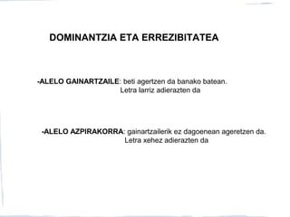 DOMINANTZIA ETA ERREZIBITATEA
-ALELO GAINARTZAILE: beti agertzen da banako batean.
Letra larriz adierazten da
-ALELO AZPIRAKORRA: gainartzailerik ez dagoenean ageretzen da.
Letra xehez adierazten da
 