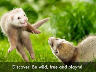 Here's to a happy life