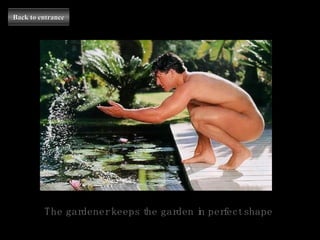 Back to entrance The gardener keeps the garden in perfect shape 