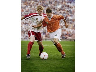 Here we are in hustopeče