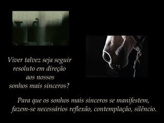 Viver talvez seja seguir
resoluto em direção
aos nossos
sonhos mais sinceros?
Para que os sonhos mais sinceros se manifestem,
fazem-se necessários reflexão, contemplação, silêncio.
 