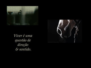 Viver é uma
questão de
direção
& sentido.
 