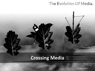 Crossing Media © Flickr / 12595345@N04 