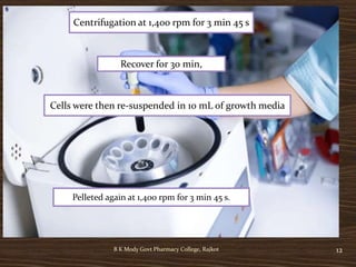 12B K Mody Govt Pharmacy College, Rajkot
Centrifugation at 1,400 rpm for 3 min 45 s
Recover for 30 min,
Cells were then re-suspended in 10 mL of growth media
Pelleted again at 1,400 rpm for 3 min 45 s.
 