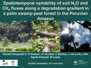 Kristell Hergoualc’h, N Dezzeo, LV Verchot, C Martius, J van Lent, J Del
Aguila Pasquel, M Lopez
Spatiotemporal variability of soil N2O and
CH4 fluxes along a degradation gradient in
a palm swamp peat forest in the Peruvian
Amazon
NCGG9, Amsterdam, 23rd June 2023
 