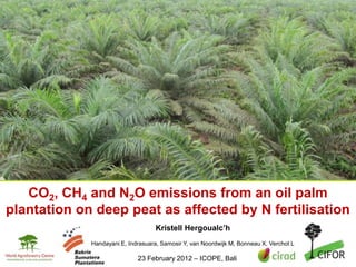 CO2, CH4 and N2O emissions from an oil palm
plantation on deep peat as affected by N fertilisation
                                             Kristell Hergoualc’h
                      Handayani E, Indrasuara, Samosir Y, van Noordwijk M, Bonneau X, Verchot L
THINKINGbeyond the canopy
                                      23 February 2012 – ICOPE, Bali
 