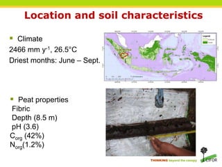 Carbon dioxide, methane and nitrous oxide emissions from an oil palm ...