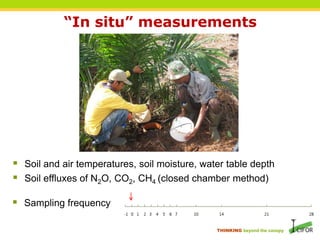 Carbon dioxide, methane and nitrous oxide emissions from an oil palm ...