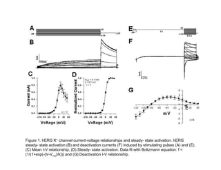 Figure 1. hERG K+ channel current-voltage relationships and steady- state activation. hERG
steady- state activation (B) and deactivation currents (F) induced by stimulating pulses (A) and (E).
(C) Mean I-V relationship, (D) Steady- state activation. Data fit with Boltzmann equation: f =
(1/(1+exp(-(V-V1/2)/k))) and (G) Deactivation I-V relationship.
 