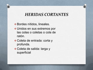 Coleta Raton Herida por arma blanca 1 | PPTX
