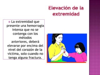Empaquetar heridas grandes con gasas o apósitos estériles y aplicar presión directa