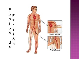 Presión indirectaLos puntos arteriales donde podemos hacer presión indirecta principalmente son:A	Punto humeral.B	 Punto femoral.Se realiza comprimiendo los puntos arteriales más cercanos entre la herida y el corazón. Esta maniobra disminuye el paso de sangre por grandes vasos. 
