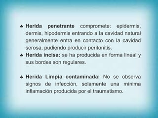  Herida penetrante compromete: epidermis,
dermis, hipodermis entrando a la cavidad natural
generalmente entra en contacto con la cavidad
serosa, pudiendo producir peritonitis.
 Herida incisa: se ha producida en forma lineal y
sus bordes son regulares.
 Herida Limpia contaminada: No se observa
signos de infección, solamente una mínima
inflamación producida por el traumatismo.
 
