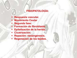 FISIOPATOLOGÍA:
 Respuesta vascular.
 Movimiento Ceular
 Segunda fase:
 Formación de fibroblasto.
 Epitelización de la herida.
 Cicatrización:
 Repación: neoangenesis.
 Regenacion de los tejidos.
 
