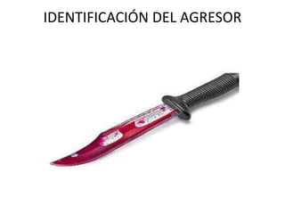 IDENTIFICACIÓN DEL AGRESOR
 