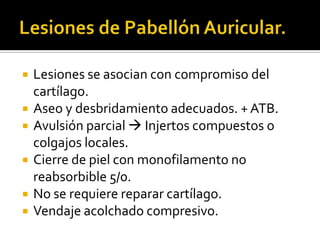 Lesiones de Pabellón Auricular.Lesiones se asocian con compromiso del cartílago.Aseo y desbridamiento adecuados. + ATB.Avulsión parcial  Injertos compuestos o colgajos locales.Cierre de piel con monofilamento no reabsorbible 5/0.No se requiere reparar cartílago.Vendaje acolchado compresivo.