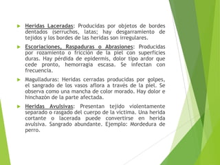 

Heridas Laceradas: Producidas por objetos de bordes
dentados (serruchos, latas; hay desgarramiento de
tejidos y los bordes de las heridas son irregulares.



Escoriaciones, Raspaduras o Abrasiones: Producidas
por rozamiento o fricción de la piel con superficies
duras. Hay pérdida de epidermis, dolor tipo ardor que
cede pronto, hemorragia escasa. Se infectan con
frecuencia.



Magulladuras: Heridas cerradas producidas por golpes,
el sangrado de los vasos aflora a través de la piel. Se
observa como una mancha de color morado. Hay dolor e
hinchazón de la parte afectada.



Heridas
separado
cortante
avulsiva.
perro.

Avulsivas: Presentan tejido violentamente
o rasgado del cuerpo de la víctima. Una herida
o lacerada puede convertirse en herida
Sangrado abundante. Ejemplo: Mordedura de

 