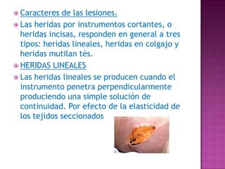 Caracteres de las lesiones.Las heridas por instrumentos cortantes, o heridas incisas, responden en general a tres tipos: heridas lineales, heridas en colgajo y heridas mutilan tés.HERIDAS LINEALESLas heridas lineales se producen cuando el instrumento penetra perpendicularmente produciendo una simple solución de continuidad. Por efecto de la elasticidad de los tejidos seccionados