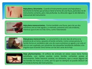LESIONES CORPORALES TEMAS 3, 4, 5 y 7 | PPTX