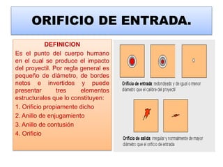 ORIFICIO DE ENTRADA.
DEFINICION
Es el punto del cuerpo humano
en el cual se produce el impacto
del proyectil. Por regla general es
pequeño de diámetro, de bordes
netos e invertidos y puede
presentar tres elementos
estructurales que lo constituyen:
1. Orificio propiamente dicho
2. Anillo de enjugamiento
3. Anillo de contusión
4. Orificio
 