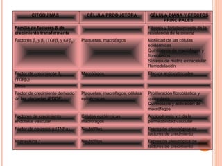 CITOQUINAS  CÉLULA PRODUCTORA  CÉLULA DIANA Y EFECTOS PRINCIPALES  Familia de factores    de crecimiento transformante       Fibrosis y fortalecimiento de la resistencia de la cicatriz  Factores   1  y   2  (TGF  1  y GF  2 )  Plaquetas, macrófagos  Motilidad de las células epidérmicas  Quimiotaxis de macrófagos y fibroblastos  Síntesis de matriz extracelular  Remodelación  Factor de crecimiento   3  (TGF  3 )  Macrófagos  Efectos anticicatriciales  Otros         Factor de crecimiento derivado de las plaquetas (PDGF)  Plaquetas, macrófagos, células epidérmicas  Proliferación fibroblástica y quimiotaxis  Quimiotaxis y activación de macrófagos  Factores de crecimiento endotelial vascular  Células epidérmicas, macrófagos  Angiogénesis y ↑ de la permeabilidad vascular  Factor de necrosis    (TNF  )   Neutrófilos  Expresión pleiotrópica de factores de crecimiento  Interleukina 1  Neutrófilos  Expresión pleiotrópica de factores de crecimiento  