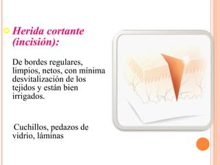Herida cortante  (incisión):   De bordes regulares, limpios, netos, con mínima desvitalización de los tejidos y están bien irrigados.  Cuchillos, pedazos de vidrio, láminas 