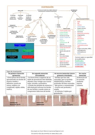 Tipos de cicatrización
De primera intención
(primaria)
De segunda intención
(secundaria)
De tercera intención (cierre
primario retardado)
De cuarta
intención
- Cierre precoz de la herida,
aproximando sus bordes de
manera estable y
definitiva: puntos de
sutura, aséptica, no
complicada, rápida, sólida,
estética.
- En forma lenta a expensas de un
tejido de granulación bien definido,
dejando como vestigio una cicatriz
larga, retraída y antiestética.
- Cuando hay pérdida de sustancia o
dificultad para afrontar los bordes
de una herida o cuando existe un
compromiso infeccioso de herida.
- Heridas que han sido
suturadas, pero se produjo
DEHISCENCIA o heridas
profundas NO bien suturadas.
- Más graves y contaminadas
- Cicatriz más profunda y
amplia
- Se enfrenta 2 tejidos por
granulación
Aceleración de
la curación
mediante
injertos
cutáneos.
/sistémicos
Factores según su capacidad
de modificación:
Modificables,
Potencialmente
modificables, No
modificables.
• Edad
• DM
• Ictericia
• Uremia aguda
• Estado nutritivo:
Malnutrición
• Hormonas
• Radiaciones ionizantes
• Coagulopatías
• Trauma
• Alcoholismo
• Tabaquismo
• Anemia
• Inmunosupresión
• Trasfusiones previas
• PAD
• Drogas (corticoides, AINEs,
anticoagulantes,
antineoplásicos)
• Sepsis
•
• Trauma: grado y tipo
• Cuerpo extraño
• Tejido necrótico
• Tamaño de herida
• Tensión y reposo de
sutura
• Grado de
contaminación →
infección
• Medicamentos locales
• Tiempo de evolución
• Tiempo Qx
• Aporte adecuado de
O2
• Radiación
• Piel: enfermedad,
pigmentación,
hematoma
• Región del cuerpo
• Aporte hemático
• Uso de tecnologías
• Denervación
Epitelización
Reparación de TC
Contracción
Epitelización
Contracción
Reparación de TC
Descargado por Quick Medicine (spomarsp25@gmail.com)
Encuentra más documentos en www.udocz.com
 