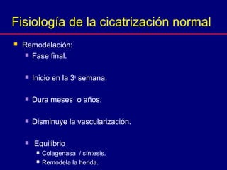  Remodelación:
 Fase final.
 Inicio en la 3a
semana.
 Dura meses o años.
 Disminuye la vascularización.
 Equilibrio
 Colagenasa / síntesis.
 Remodela la herida.
Fisiología de la cicatrización normal
 