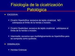  EXCESIVA:
 Cicatriz Hipertrófica: excesiva de tejido cicatricial, NO
sobrepasa el límite de la herida o incisión.
 Cicatriz Queloídea: excesiva de tejido cicatricial, sobrepasa el
límite de la herida o incisión.
 Intermedia :excesiva que morfológicamente es hipertrófica pero
se comporta como queloide.
 DISMINUIDA:
 Heridas Crónicas
Fisiología de la cicatrización
Patológica
 