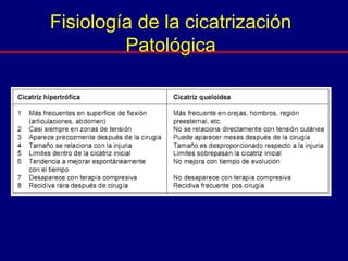 Fisiología de la cicatrización
Patológica
 