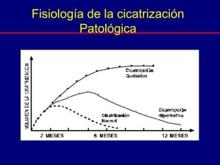 Fisiología de la cicatrización
Patológica
 