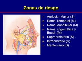 Zonas de riesgoZonas de riesgo
1. Auricular Mayor (S).
2. Rama Temporal (M).
3. Rama Mandibular (M).
4. Rama Cigomática y
Bucal (M).
5. Supraorbiotario (S) .
6. Infraorbitario (S) .
7. Mentoniano (S) .
 